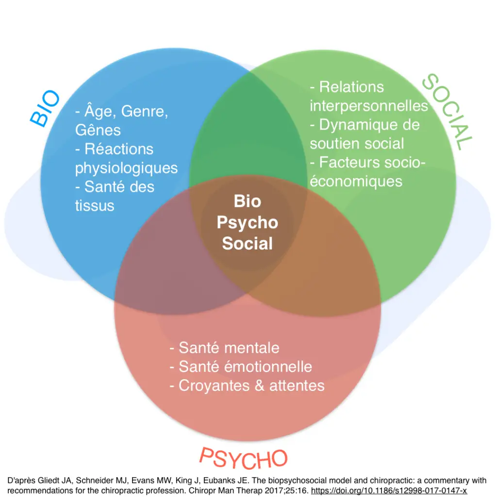 schema modele bio pyscho social